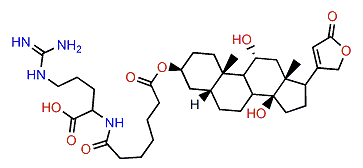 3-(N-Pimeloyl argininyl)-sarmentogenin